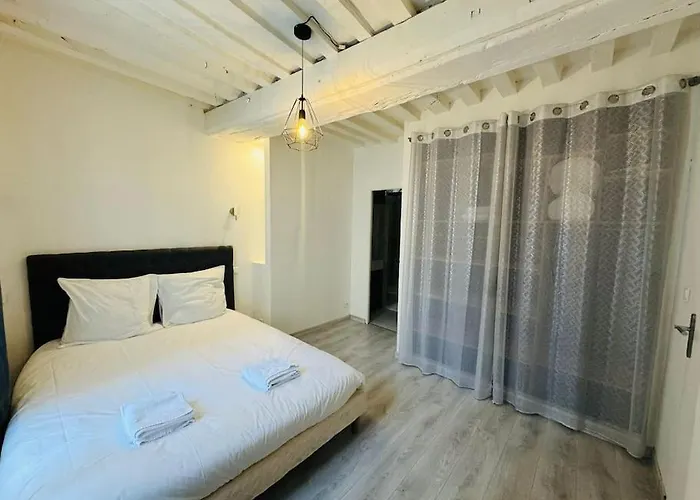 Appartement Spacieux De Charme En Hyper-Centre